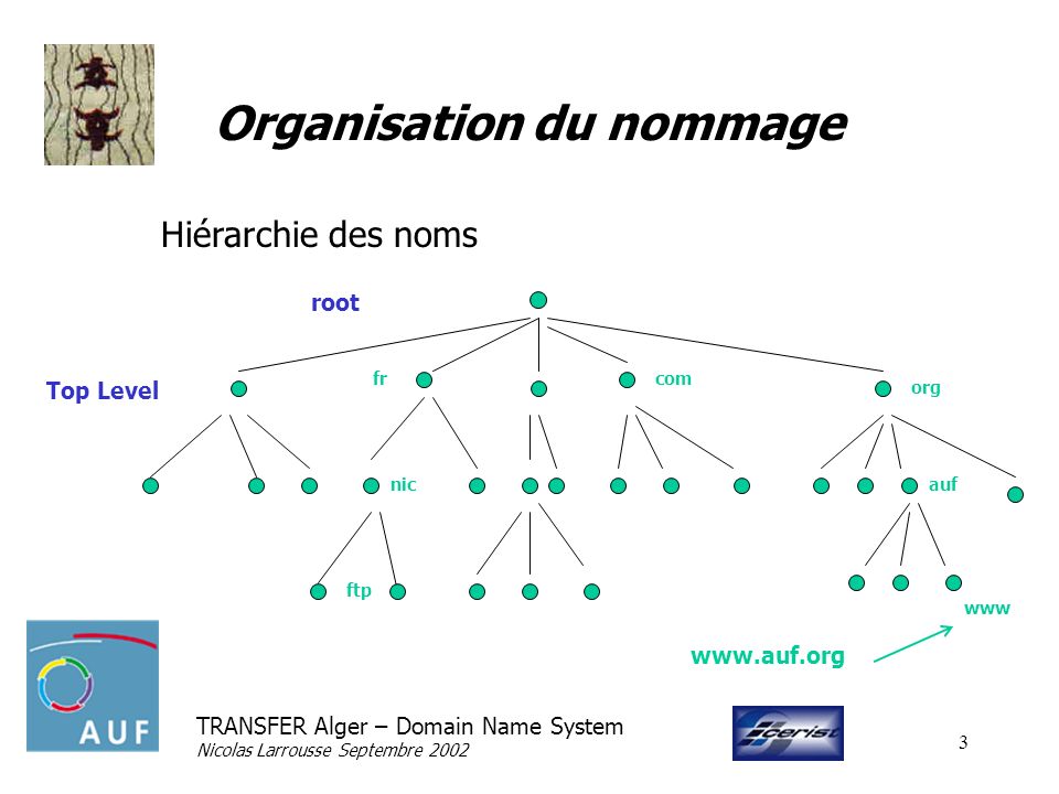 TRANSFER Alger – Domain Name System Nicolas Larrousse Septembre Organisation du nommage Hiérarchie des noms root Top Level com org auf fr www nic ftp