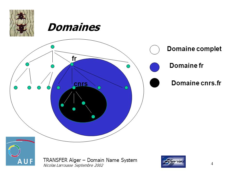 TRANSFER Alger – Domain Name System Nicolas Larrousse Septembre Domaines fr cnrs Domaine complet Domaine fr Domaine cnrs.fr