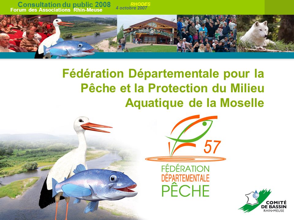 Consultation du public 2008 Forum des Associations Rhin-Meuse 4 octobre 2007 RHODES Fédération Départementale pour la Pêche et la Protection du Milieu Aquatique de la Moselle