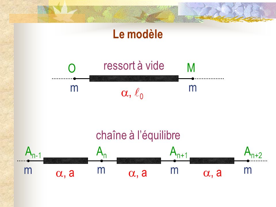 Le modèle A n-1 chaîne à léquilibre, a AnAn A n+1 A n+2 m m m m M O, 0 ressort à vide m m