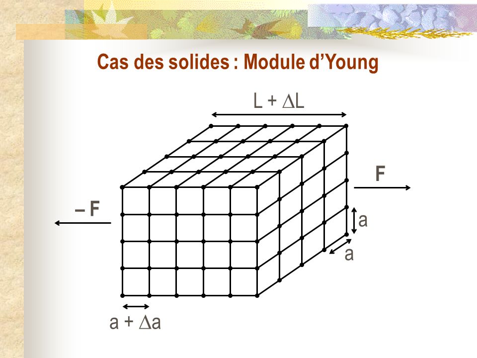 Cas des solides : Module dYoung a + a L + L F – F a a