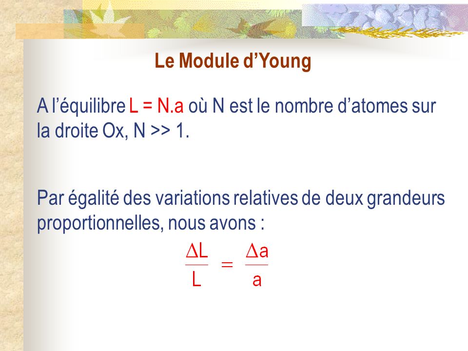 Le Module dYoung Par égalité des variations relatives de deux grandeurs proportionnelles, nous avons : A léquilibre L = N.a où N est le nombre datomes sur la droite Ox, N >> 1.
