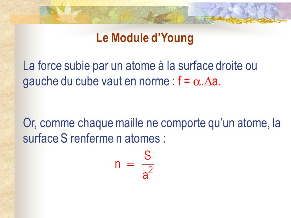 Le Module dYoung La force subie par un atome à la surface droite ou gauche du cube vaut en norme : f =.