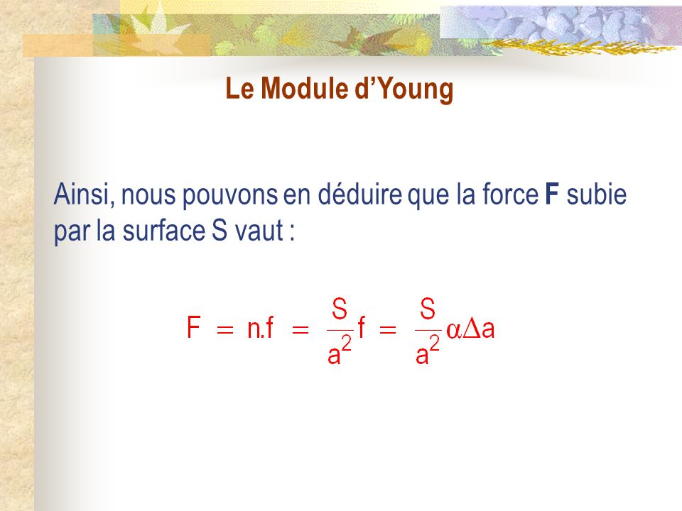 Le Module dYoung Ainsi, nous pouvons en déduire que la force F subie par la surface S vaut :