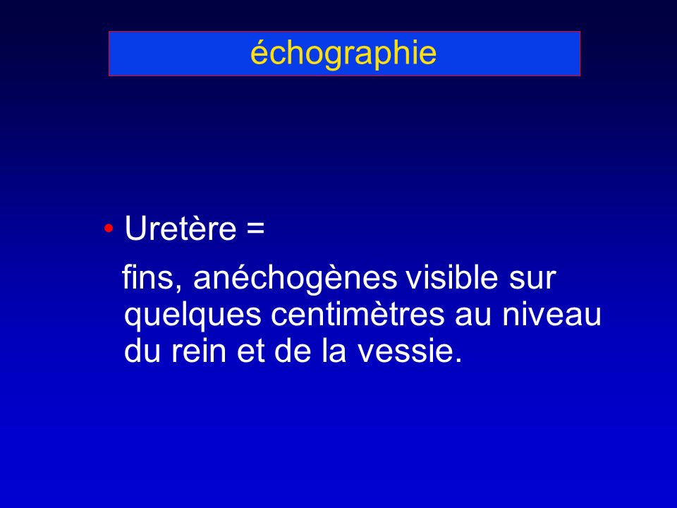 échographie Uretère = fins, anéchogènes visible sur quelques centimètres au niveau du rein et de la vessie.