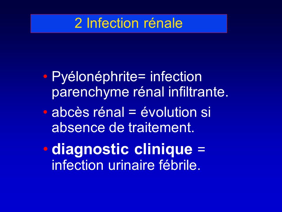 2 Infection rénale Pyélonéphrite= infection parenchyme rénal infiltrante.