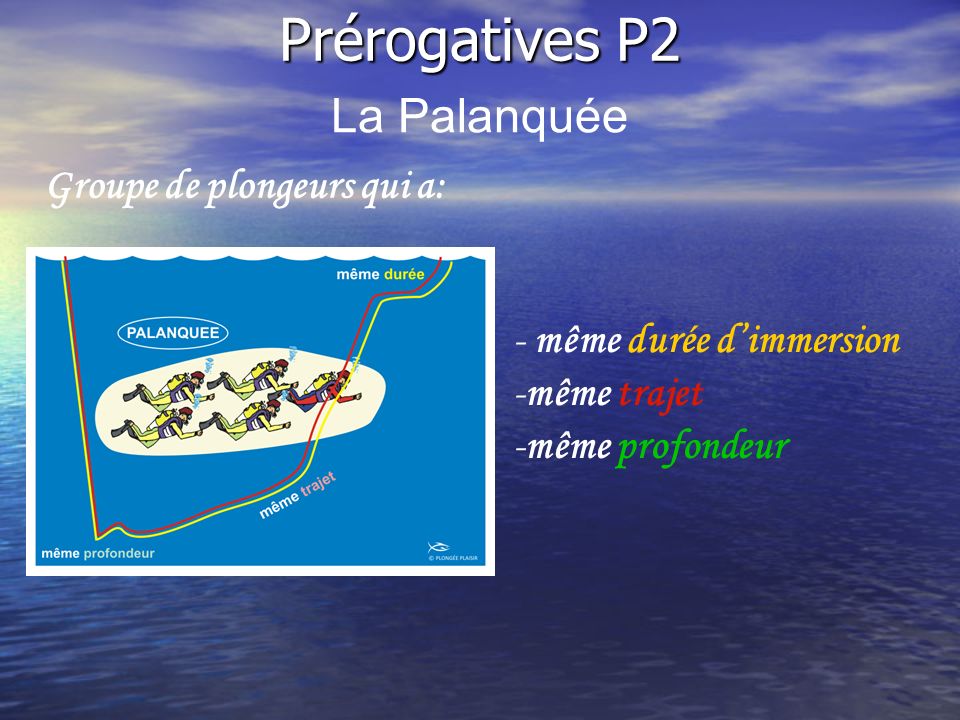 Groupe de plongeurs qui a: -même trajet Prérogatives P2 La Palanquée - même durée dimmersion -même profondeur