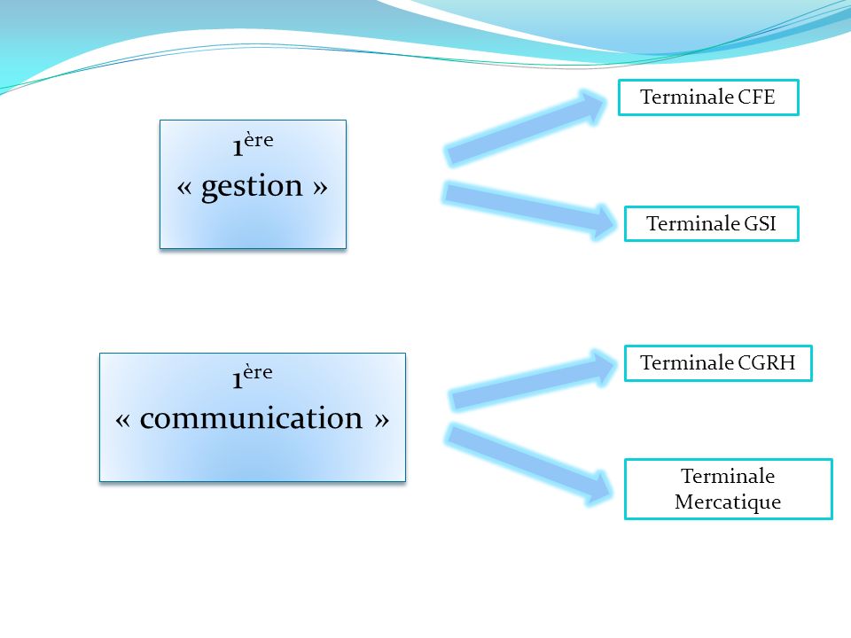 1 ère « gestion » 1 ère « communication » Terminale CFE Terminale GSI Terminale CGRH Terminale Mercatique