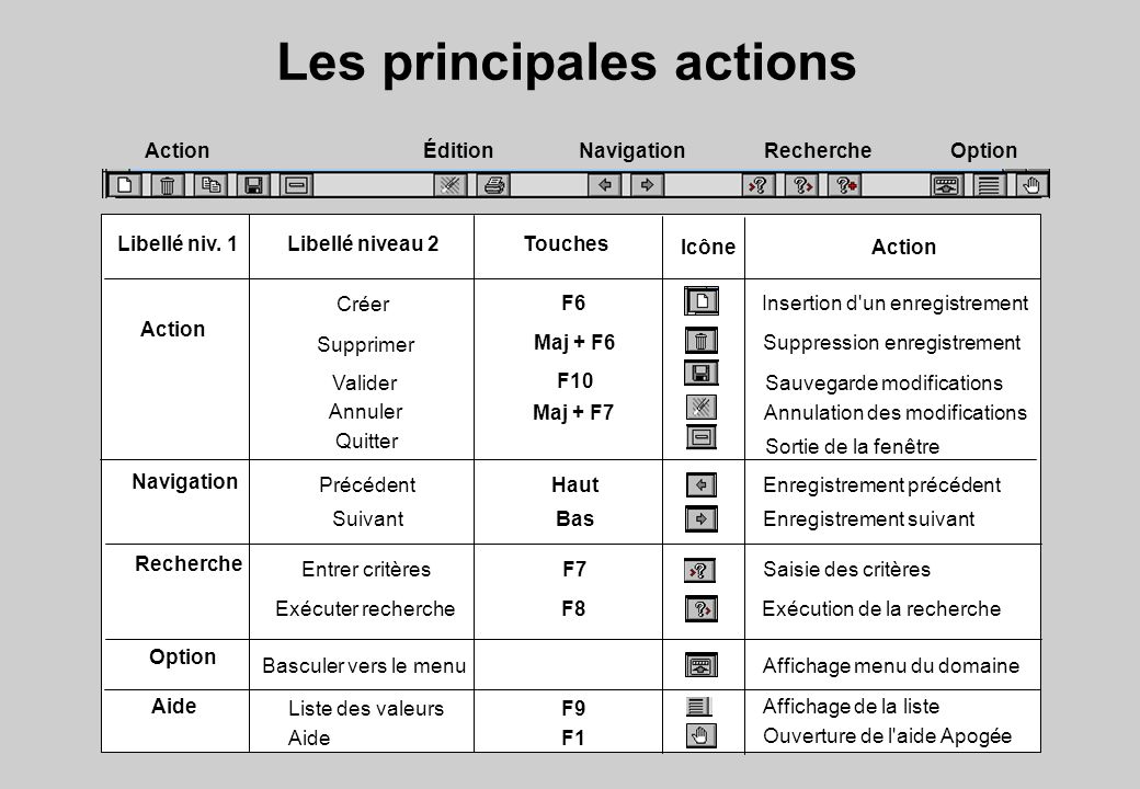 Les principales actions ActionÉditionNavigationRechercheOption Libellé niv.