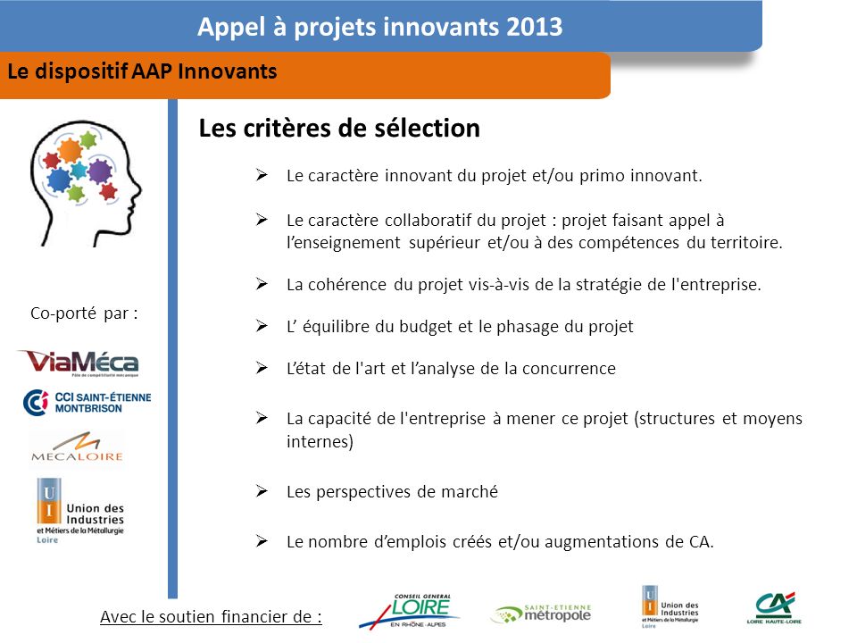 Avec le soutien financier de : Co-porté par : Appel à projets innovants 2013 Le dispositif AAP Innovants Les critères de sélection Le caractère innovant du projet et/ou primo innovant.