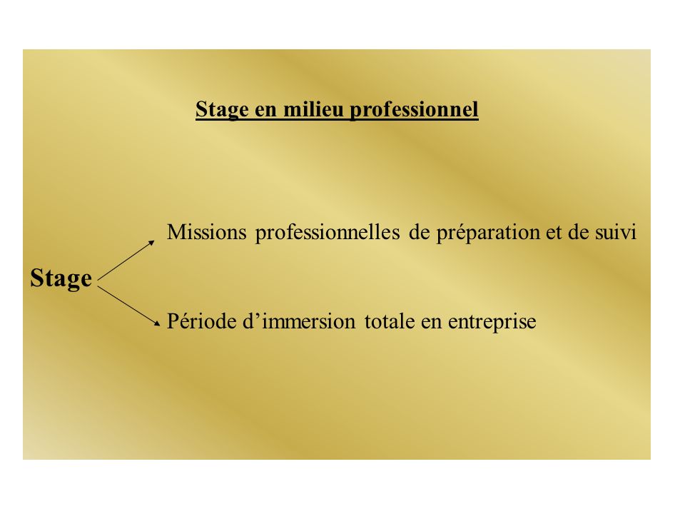Stage en milieu professionnel Missions professionnelles de préparation et de suivi Stage Période dimmersion totale en entreprise