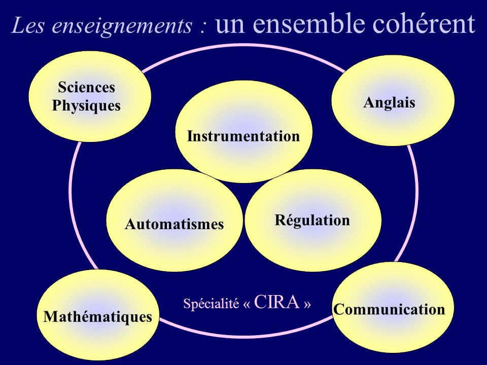 Les enseignements : un ensemble cohérent Régulation Instrumentation Automatismes Spécialité « CIRA » Sciences Physiques Mathématiques Communication Anglais