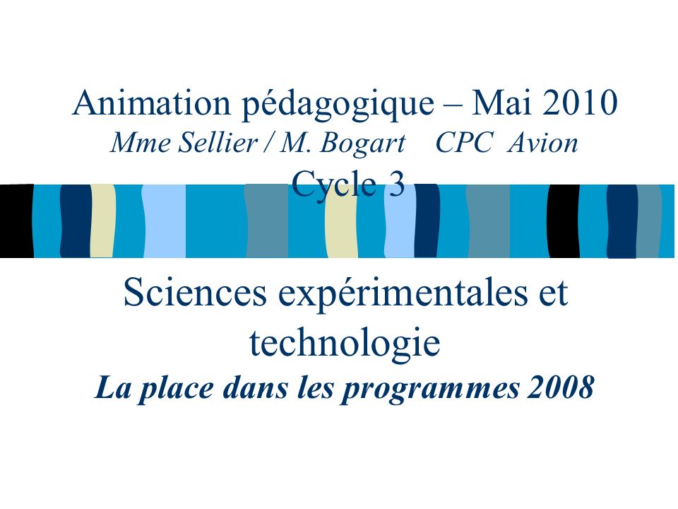 Animation pédagogique – Mai 2010 Mme Sellier / M.