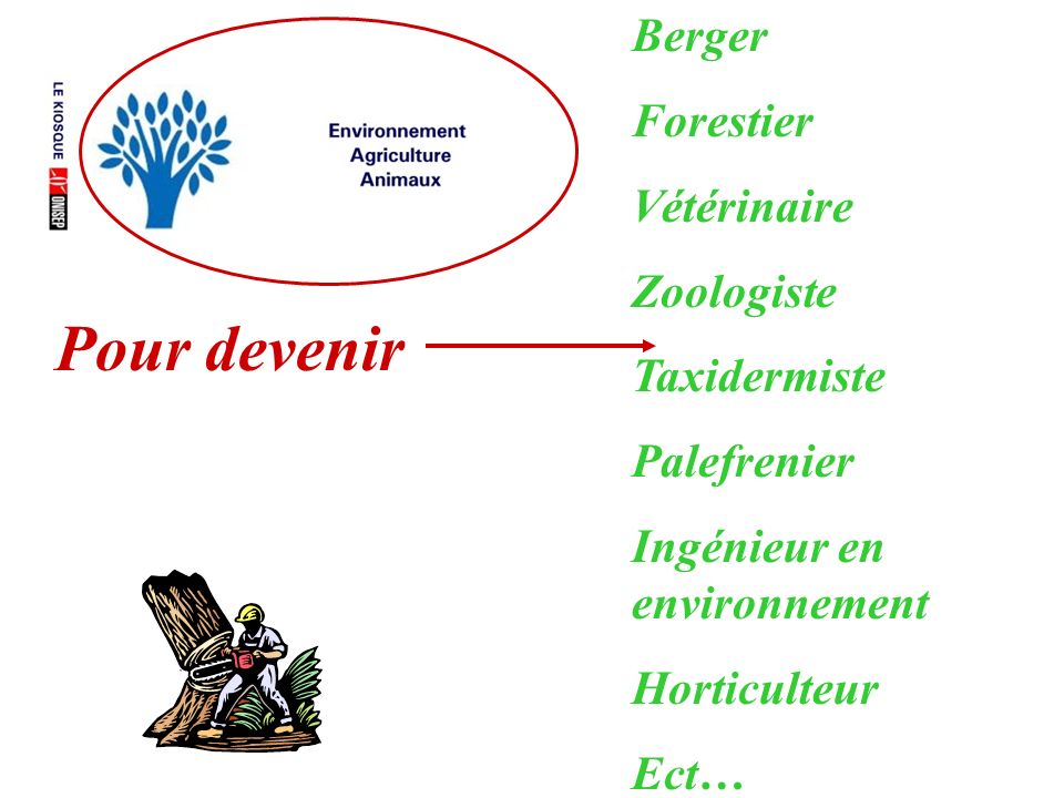 Pour devenir Berger Forestier Vétérinaire Zoologiste Taxidermiste Palefrenier Ingénieur en environnement Horticulteur Ect…
