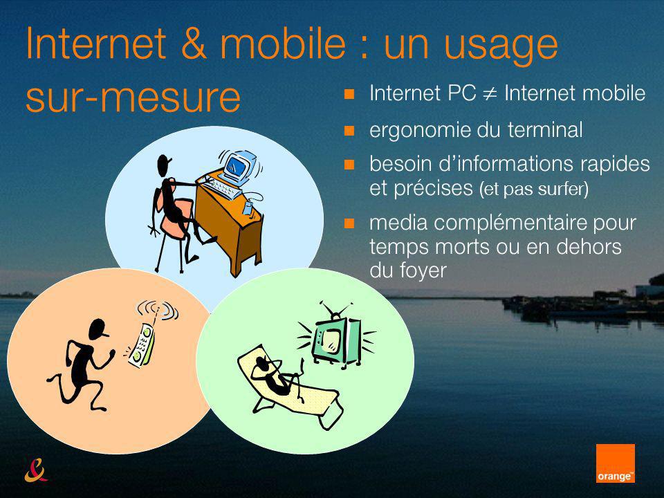 Internet & mobile : un usage sur-mesure Internet PC Internet mobile ergonomie du terminal besoin dinformations rapides et précises (et pas surfer) media complémentaire pour temps morts ou en dehors du foyer
