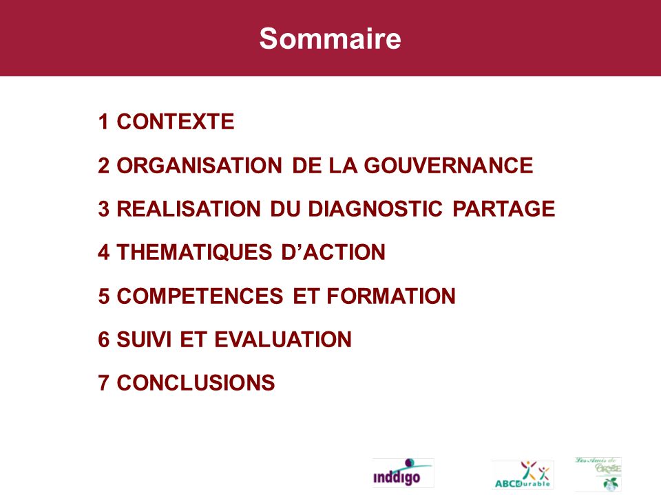Sommaire 1 CONTEXTE 2 ORGANISATION DE LA GOUVERNANCE 3 REALISATION DU DIAGNOSTIC PARTAGE 4 THEMATIQUES DACTION 5 COMPETENCES ET FORMATION 6 SUIVI ET EVALUATION 7 CONCLUSIONS