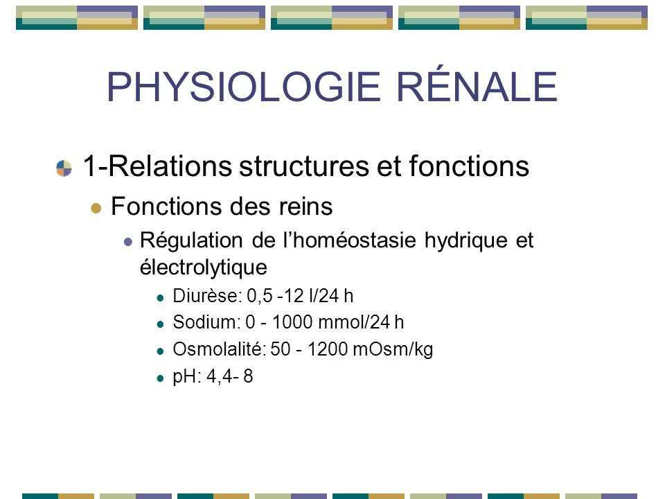 PHYSIOLOGIE RÉNALE 1-Relations structures et fonctions Fonctions des reins Régulation de lhoméostasie hydrique et électrolytique Diurèse: 0,5 -12 l/24 h Sodium: mmol/24 h Osmolalité: mOsm/kg pH: 4,4- 8