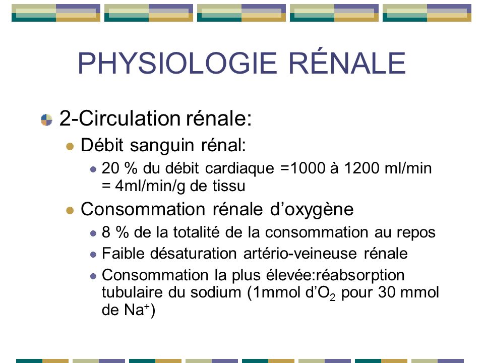 PHYSIOLOGIE RÉNALE 2-Circulation rénale: Débit sanguin rénal: 20 % du débit cardiaque =1000 à 1200 ml/min = 4ml/min/g de tissu Consommation rénale doxygène 8 % de la totalité de la consommation au repos Faible désaturation artério-veineuse rénale Consommation la plus élevée:réabsorption tubulaire du sodium (1mmol dO 2 pour 30 mmol de Na + )