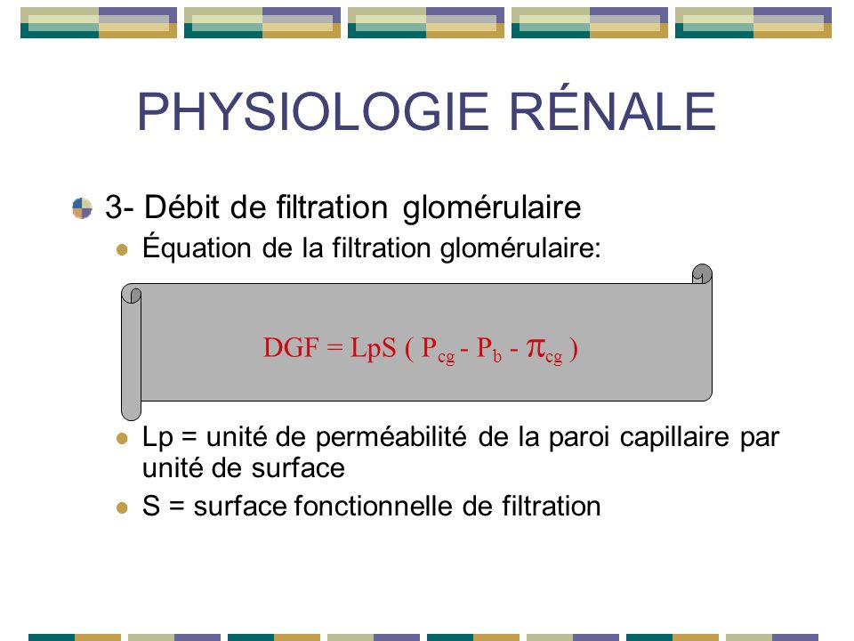 PHYSIOLOGIE RÉNALE 3- Débit de filtration glomérulaire Équation de la filtration glomérulaire: Lp = unité de perméabilité de la paroi capillaire par unité de surface S = surface fonctionnelle de filtration DGF = LpS ( P cg - P b - cg )