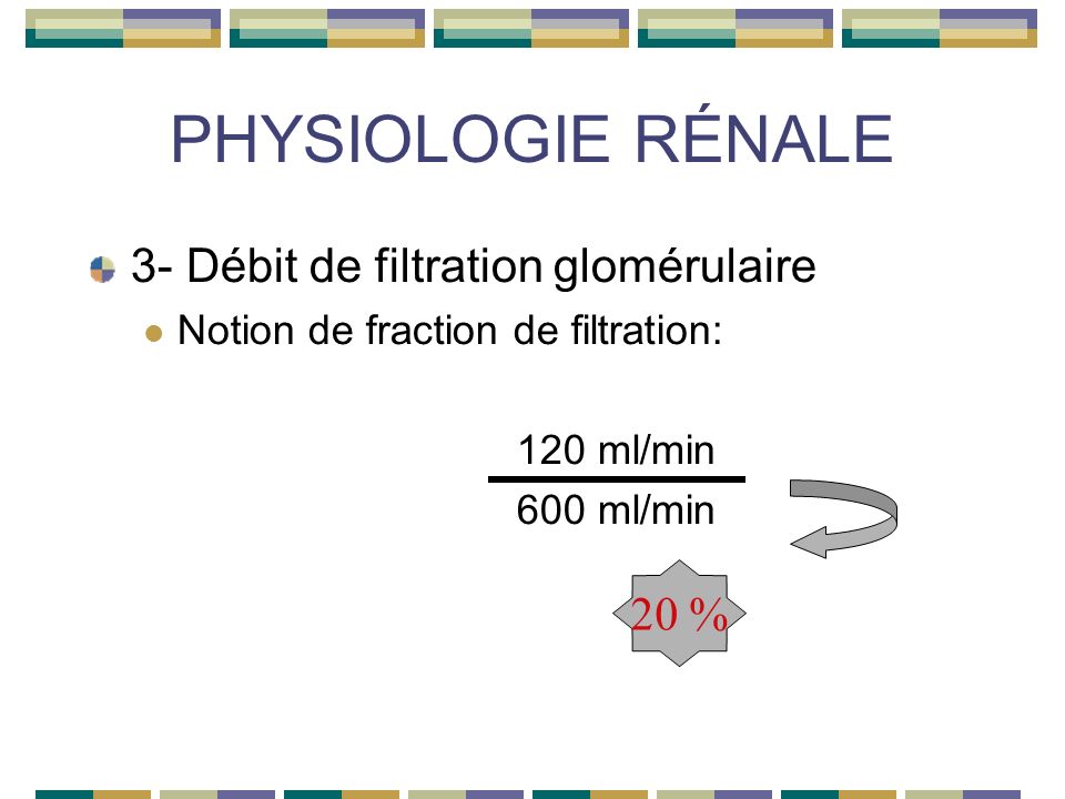 PHYSIOLOGIE RÉNALE 3- Débit de filtration glomérulaire Notion de fraction de filtration: 120 ml/min 600 ml/min 20 %