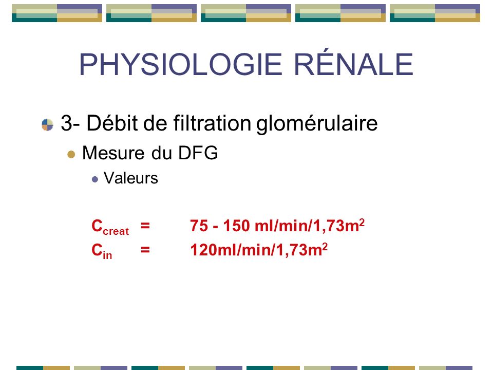 PHYSIOLOGIE RÉNALE 3- Débit de filtration glomérulaire Mesure du DFG Valeurs C creat = ml/min/1,73m 2 C in =120ml/min/1,73m 2