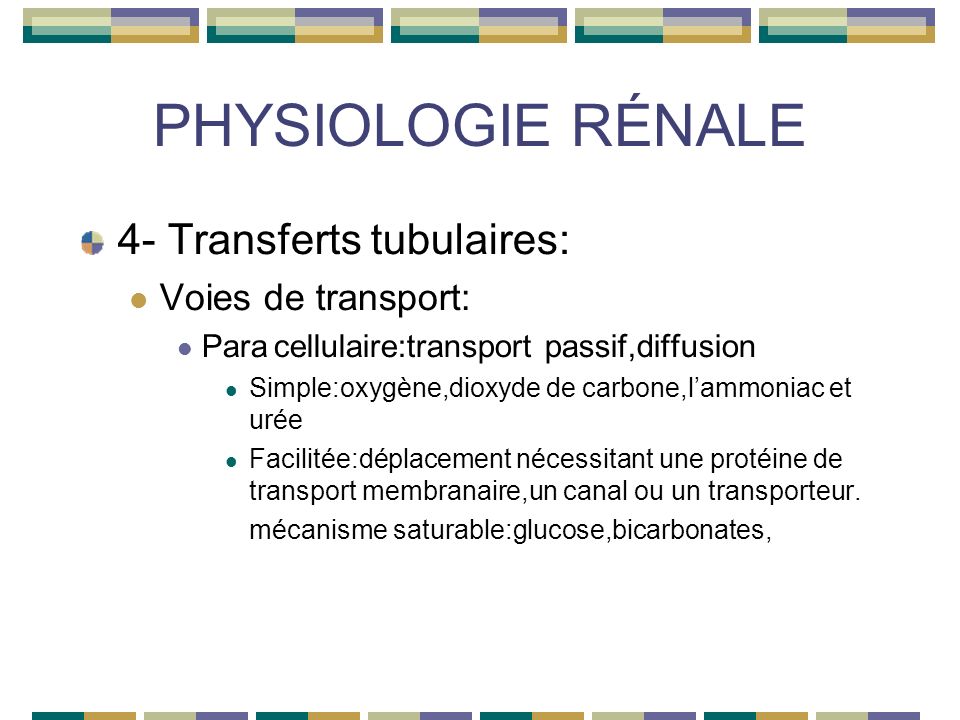 PHYSIOLOGIE RÉNALE 4- Transferts tubulaires: Voies de transport: Paracellulaire:transport passif,diffusion Simple:oxygène,dioxyde de carbone,lammoniac et urée Facilitée:déplacement nécessitant une protéine de transport membranaire,un canal ou un transporteur.