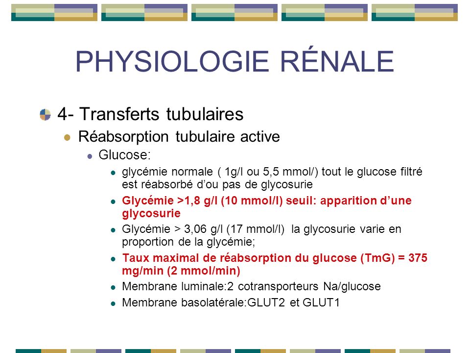 PHYSIOLOGIE RÉNALE 4- Transferts tubulaires Réabsorption tubulaire active Glucose: glycémie normale ( 1g/l ou 5,5 mmol/) tout le glucose filtré est réabsorbé dou pas de glycosurie Glycémie >1,8 g/l (10 mmol/l) seuil: apparition dune glycosurie Glycémie > 3,06 g/l (17 mmol/l) la glycosurie varie en proportion de la glycémie; Taux maximal de réabsorption du glucose (TmG) = 375 mg/min (2 mmol/min) Membrane luminale:2 cotransporteurs Na/glucose Membrane basolatérale:GLUT2 et GLUT1