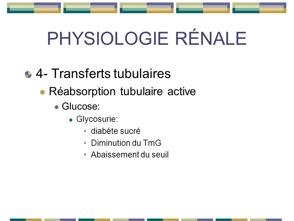 PHYSIOLOGIE RÉNALE 4- Transferts tubulaires Réabsorption tubulaire active Glucose: Glycosurie: diabète sucré Diminution du TmG Abaissement du seuil