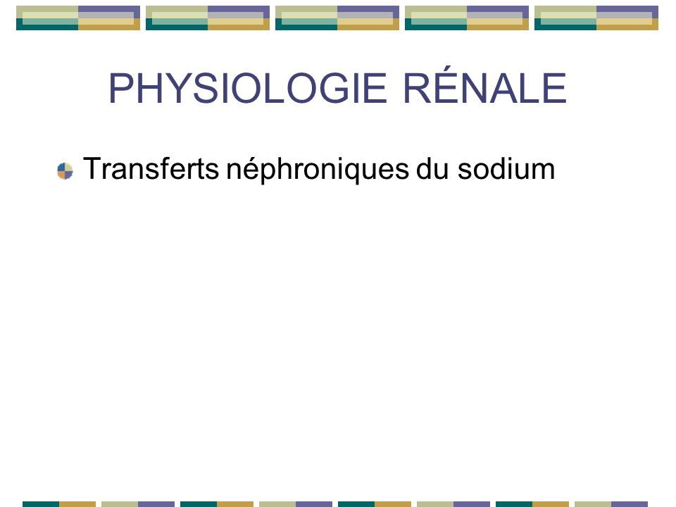 PHYSIOLOGIE RÉNALE Transferts néphroniques du sodium