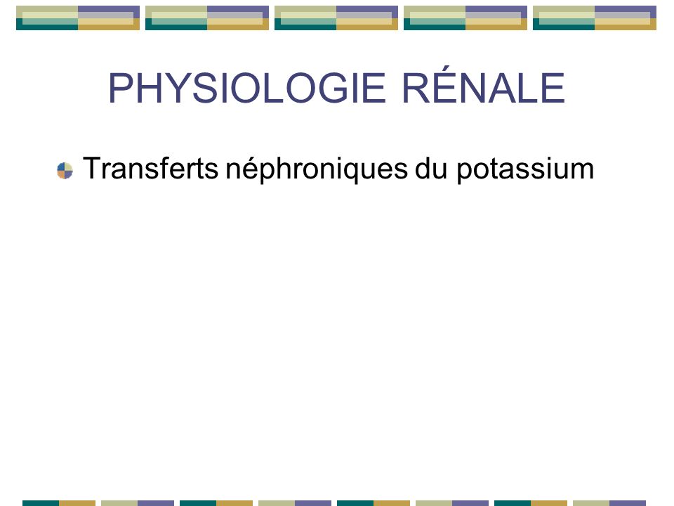 PHYSIOLOGIE RÉNALE Transferts néphroniques du potassium