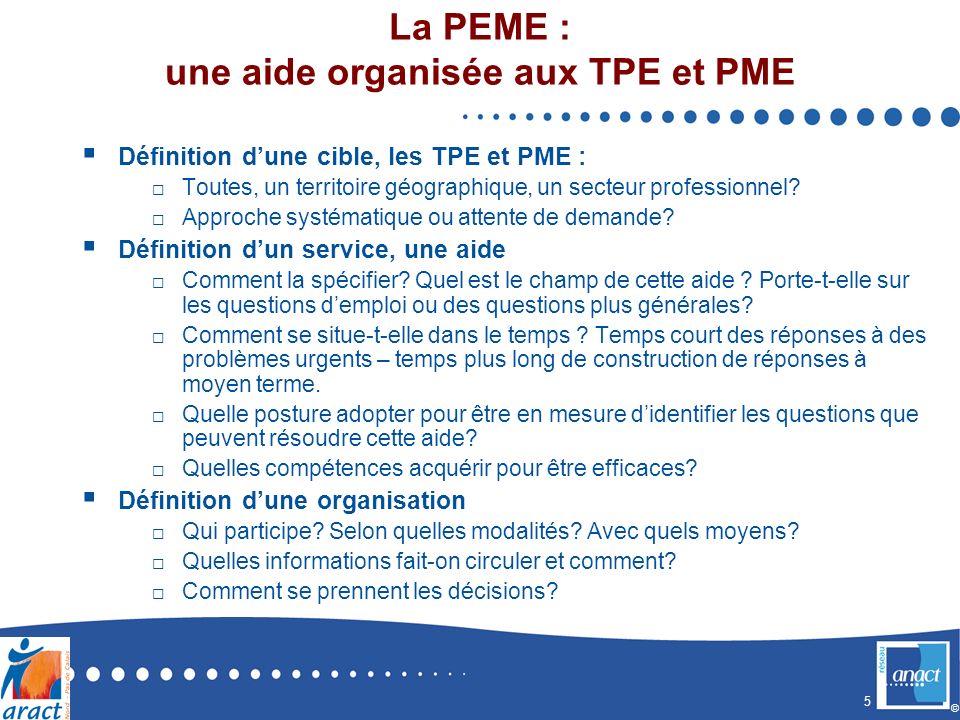 5 © La PEME : une aide organisée aux TPE et PME Définition dune cible, les TPE et PME : Toutes, un territoire géographique, un secteur professionnel.