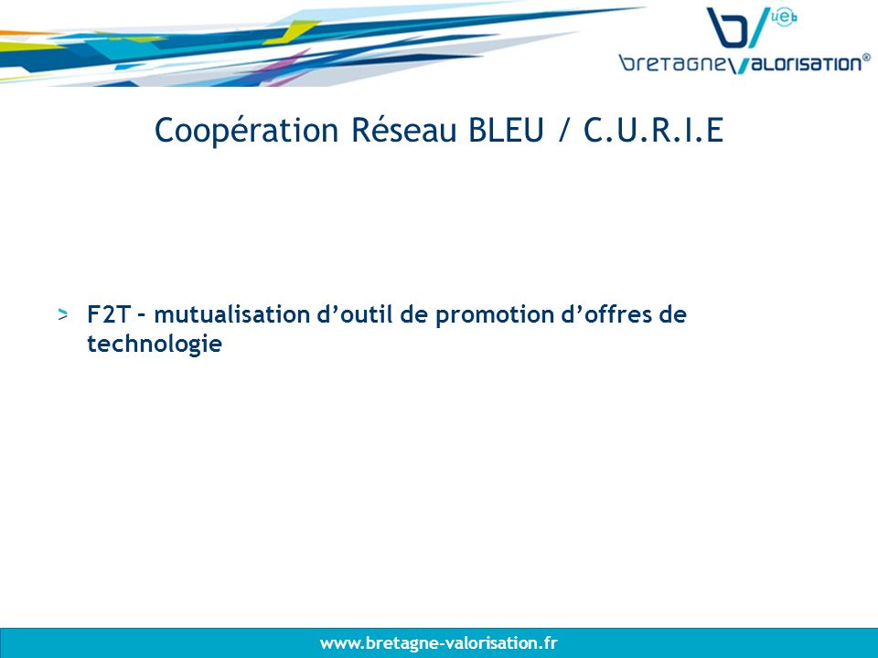F2T – mutualisation doutil de promotion doffres de technologie Coopération Réseau BLEU / C.U.R.I.E