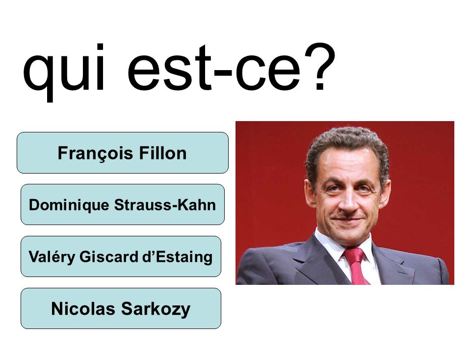 qui est-ce Dominique Strauss-Kahn Valéry Giscard d’Estaing Nicolas Sarkozy François Fillon