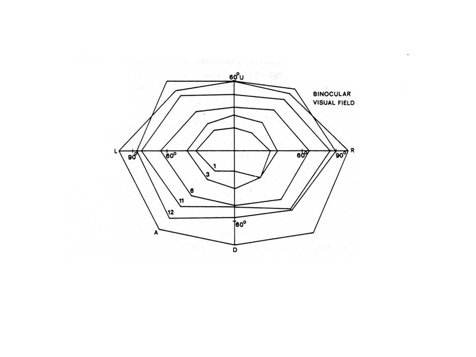 Psychologie Du Developpement Ppt Video Online Telecharger