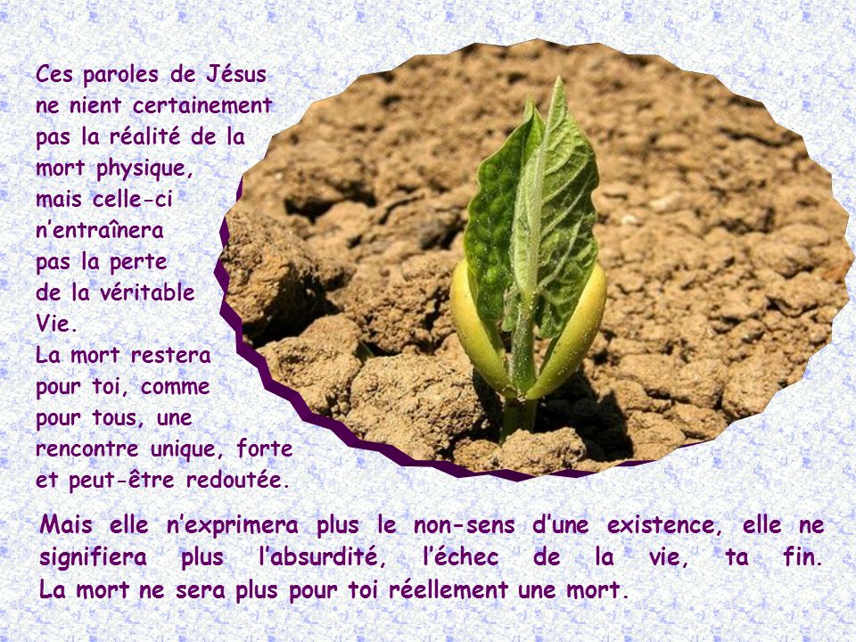 « Je suis la Résurrection et la Vie » (Jn 11,25).