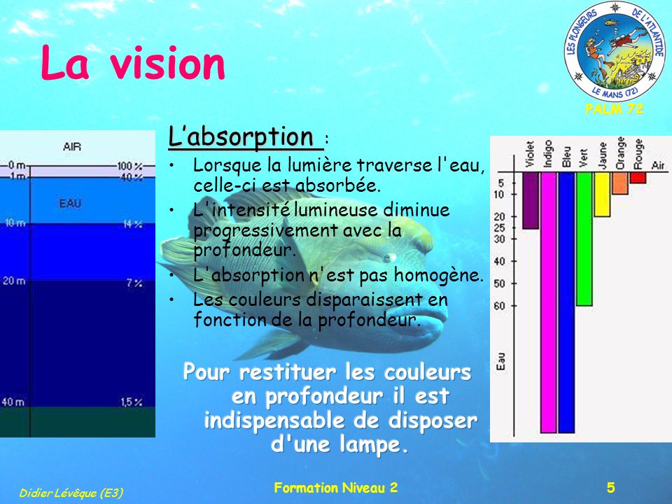 PALM 72 Didier Lévêque (E3) Formation Niveau 25 La vision