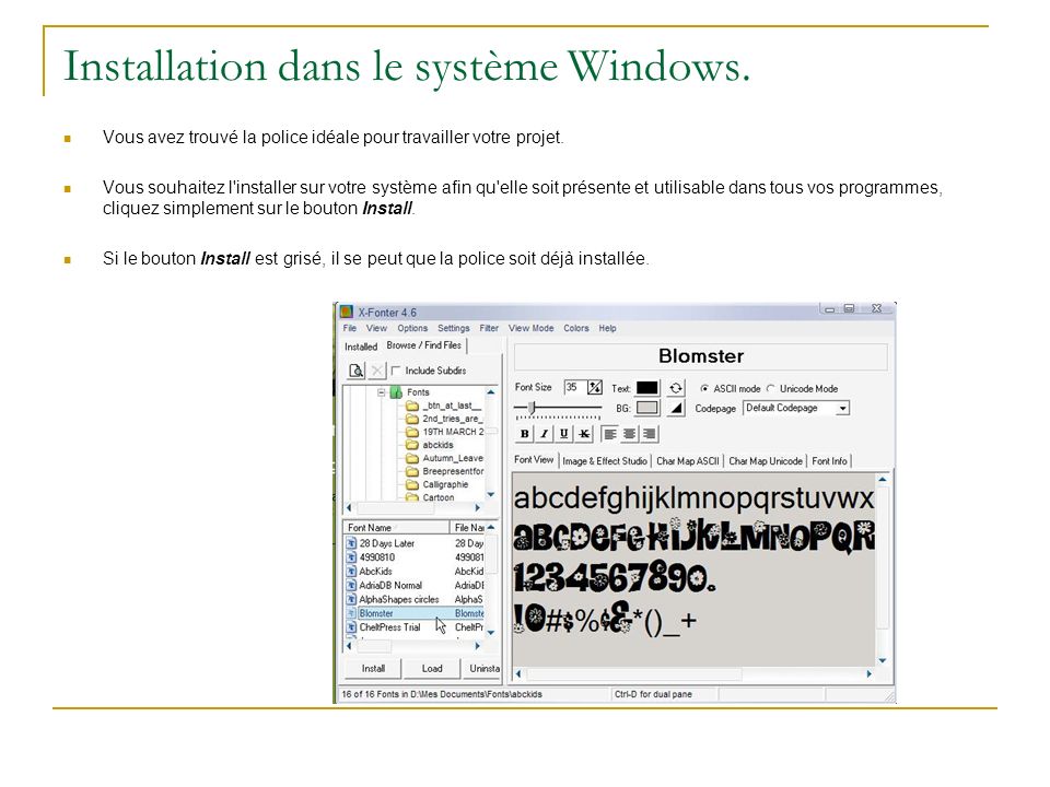 Installation dans le système Windows.