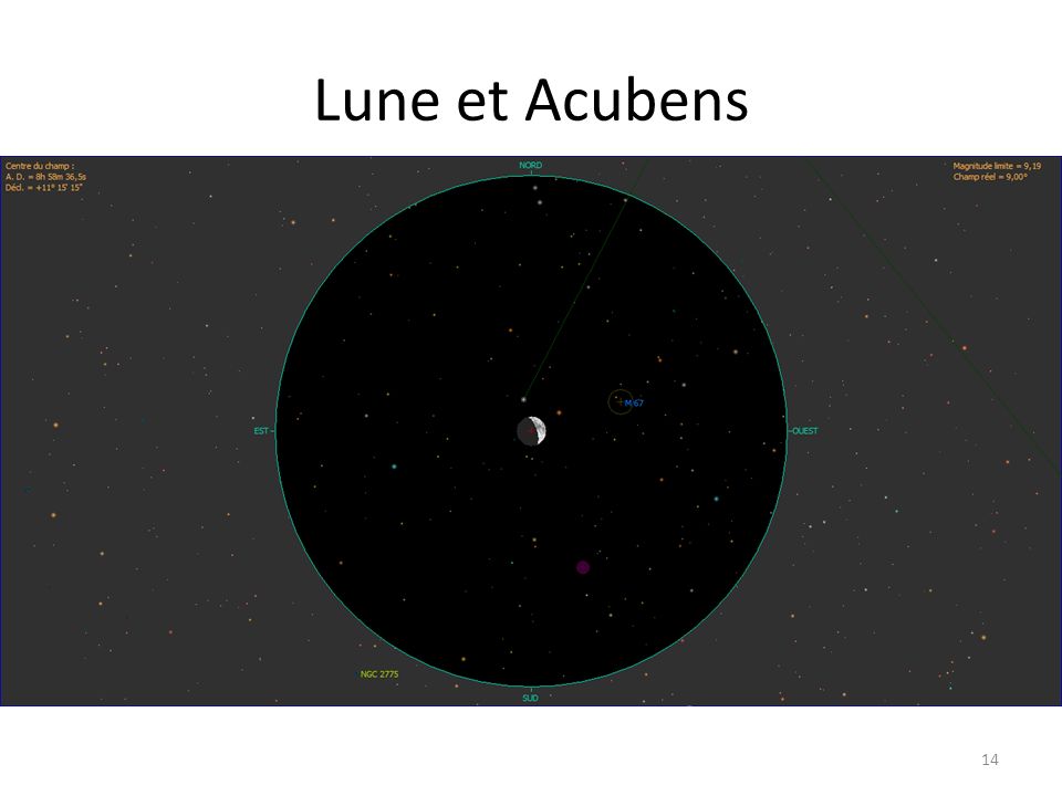 Lune et Acubens 14