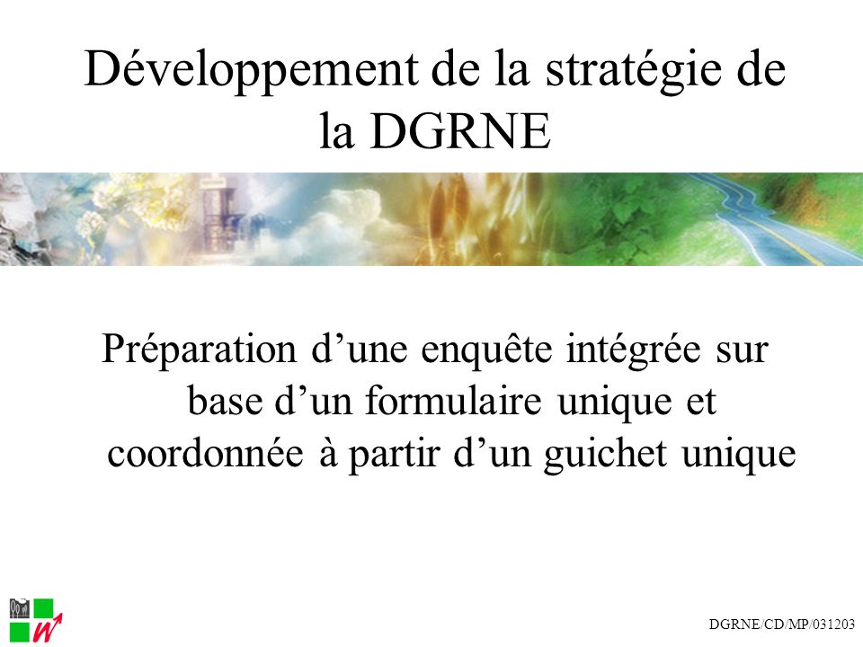 Développement de la stratégie de la DGRNE Préparation dune enquête intégrée sur base dun formulaire unique et coordonnée à partir dun guichet unique DGRNE/CD/MP/031203