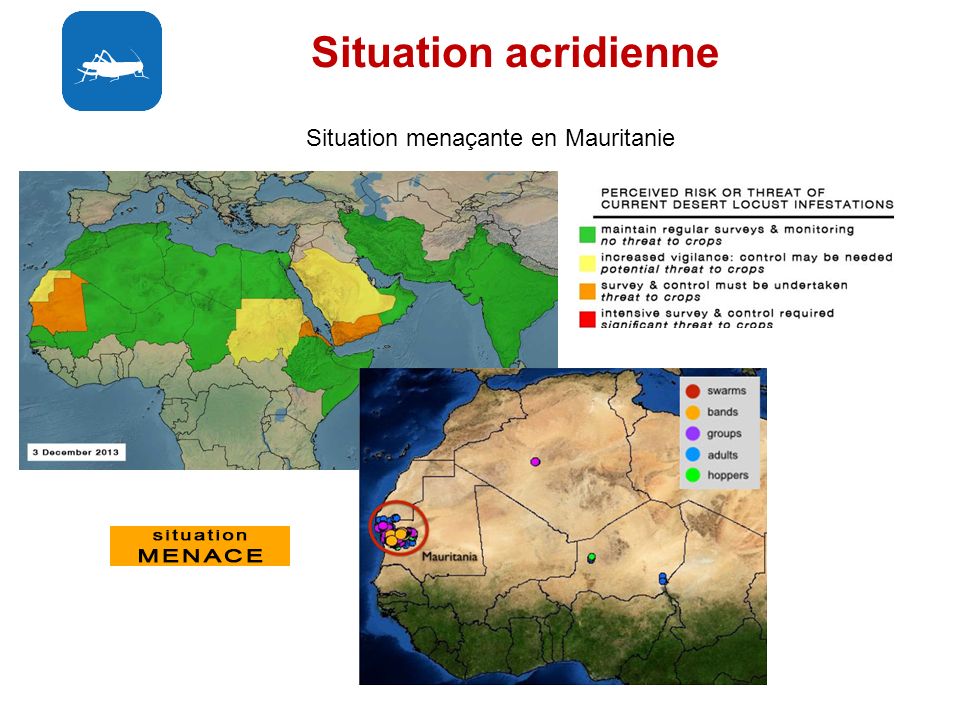 Situation acridienne Situation menaçante en Mauritanie
