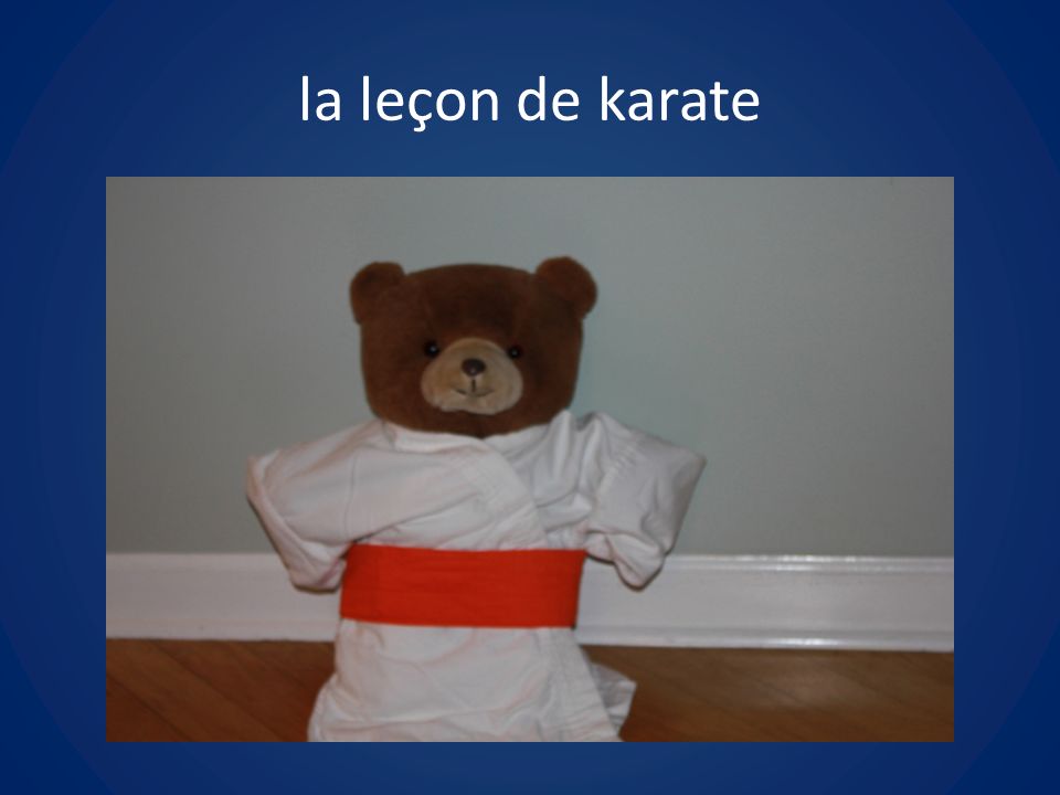 la leçon de karate