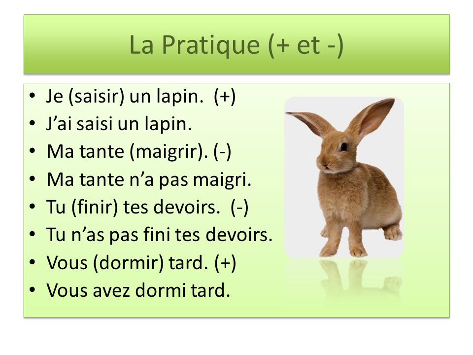 Simple sentences using –ir ending verbs in the passé composé Jai fini mes devoirs.