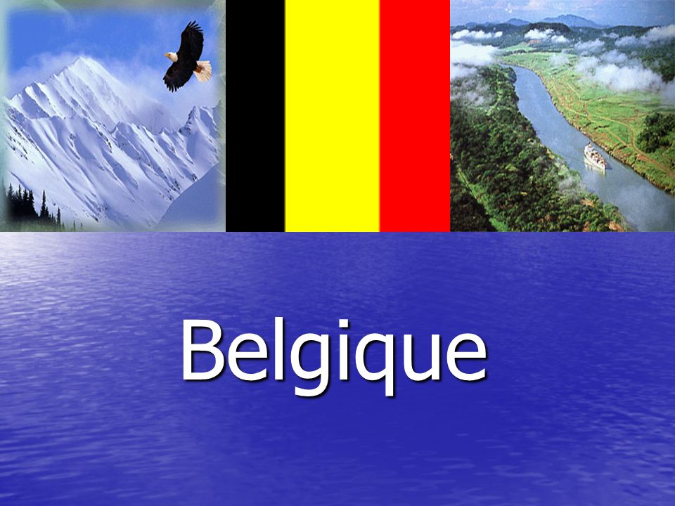 Le Royaume de Belgique Le travail est fait par un élève de 10 classe Bélorybets Artem.