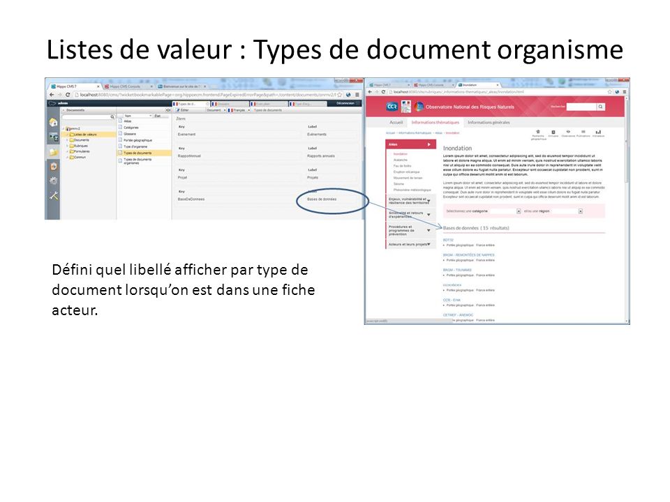 Listes de valeur : Types de document organisme Défini quel libellé afficher par type de document lorsquon est dans une fiche acteur.