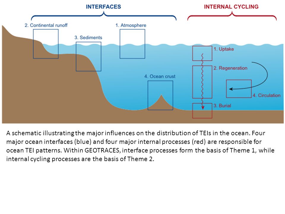 A schematic illustrating the major influences on the distribution of TEIs in the ocean.