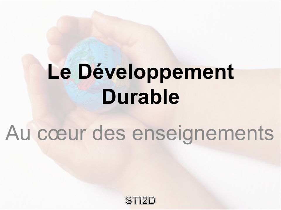 Au cœur des enseignements Le Développement Durable STI2D