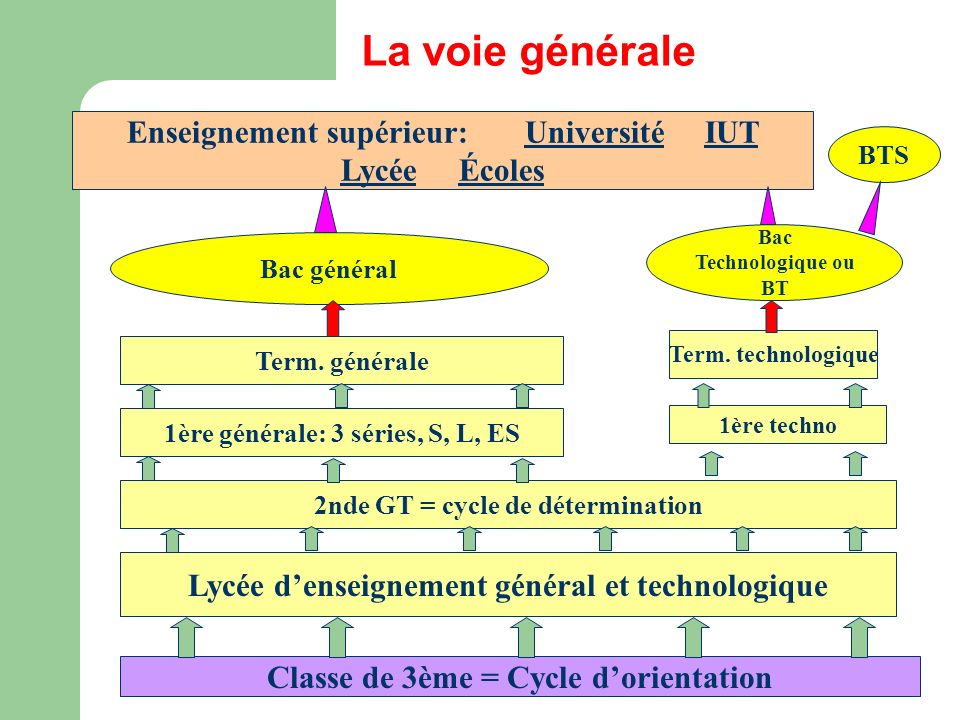 Classe de 3ème = Cycle dorientation Lycée denseignement général et technologique 2nde GT = cycle de détermination 1ère générale: 3 séries, S, L, ES 1ère techno Term.