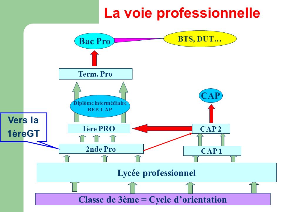 Classe de 3ème = Cycle dorientation Lycée professionnel 2nde Pro CAP 1 1ère PRO CAP 2 CAP Term.