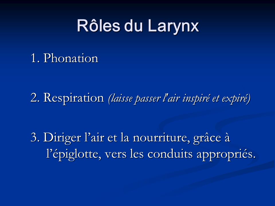 Rôles du Larynx 1. Phonation 2. Respiration (laisse passer l air inspiré et expiré) 3.