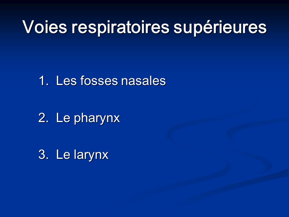 Voies respiratoires supérieures 1. Les fosses nasales 2. Le pharynx 3. Le larynx